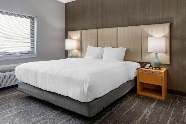 Somerset Lofts image 6